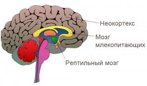 Методика РПТ (Reference Point Therapy) Одесса